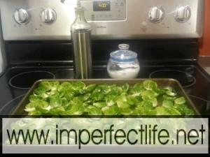 Brussels Sprouts Chips